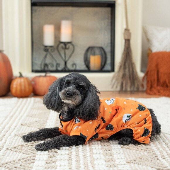 NEW Halloween Dog Pet Pajamas Orange Size Medium (15-20 lbs) Vibrant Life 1 pc - Picture 7 of 8